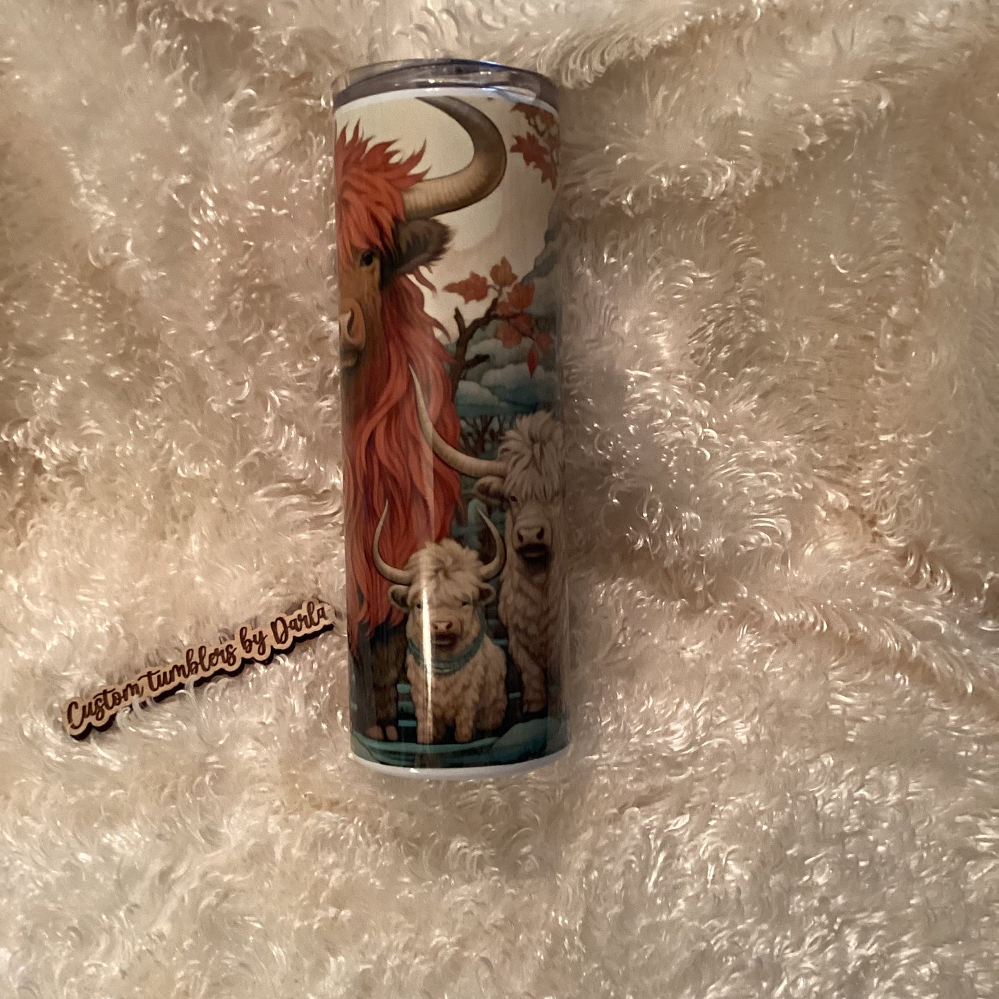 Cute Mom and babies Highland cows