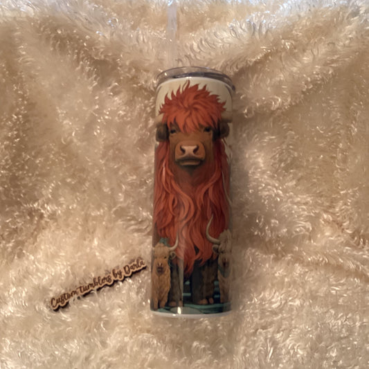 Cute Mom and babies Highland cows