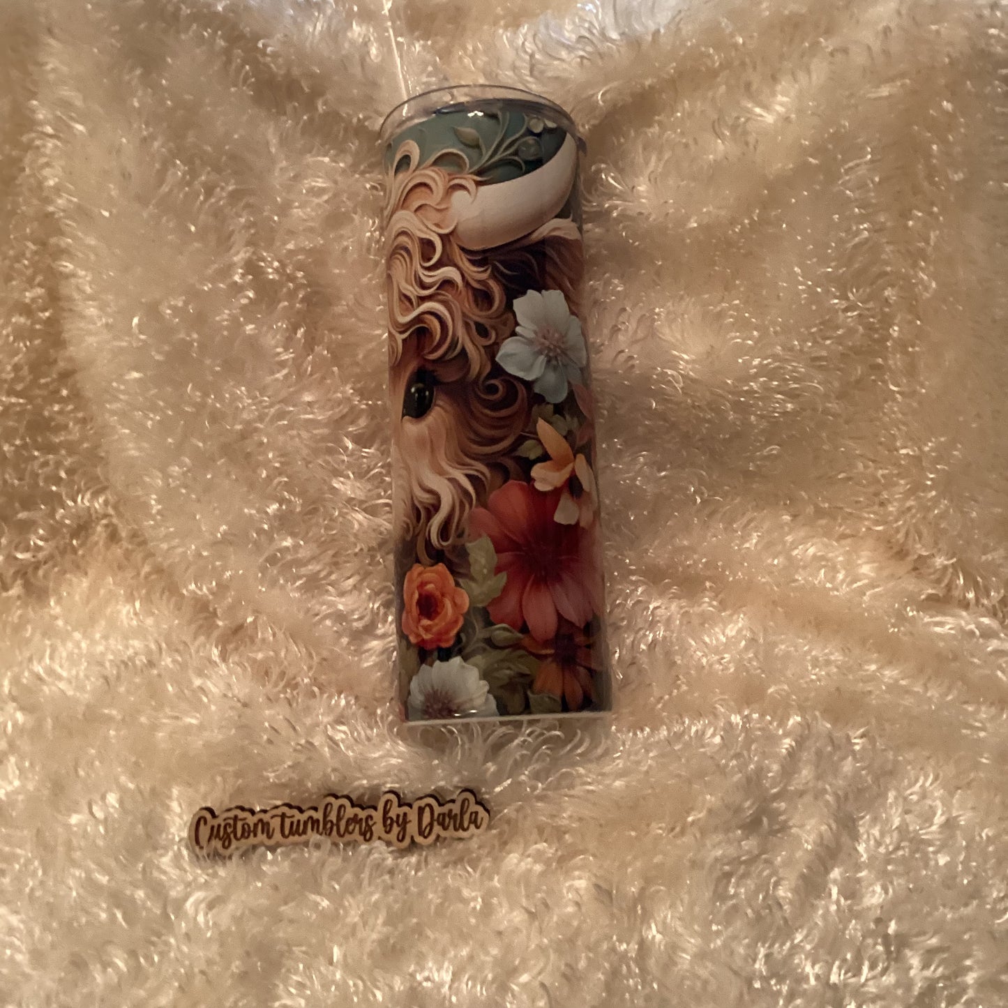 Precious Highland cow