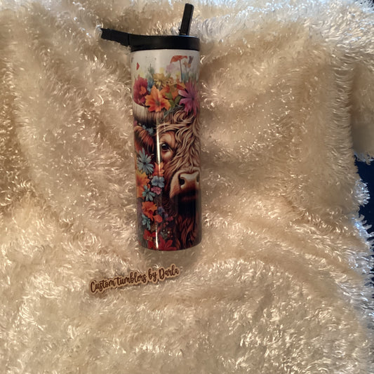 Adorable Highland cow